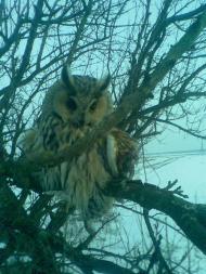 Природа і сільське життя