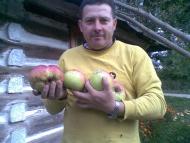 Сільське життя