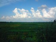 Природа села