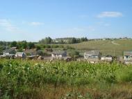 Моя Араповка