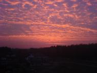 Прилісне - Останні фото