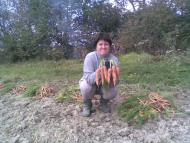 Сільське життя