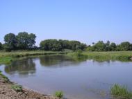 'Бережіть ліс- він Вам ще пригодиться'