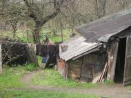 село москалі