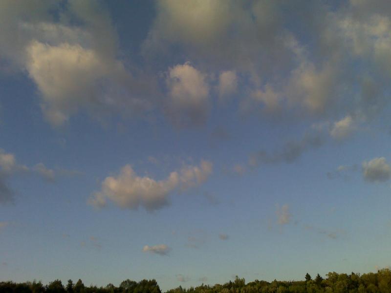 Native - Грицев