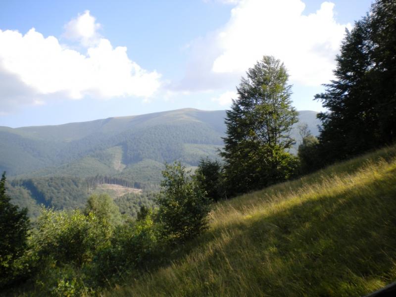 село Люта - Люта