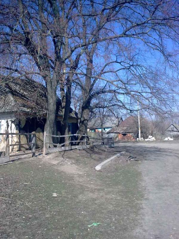 вулиці - Деркачовка