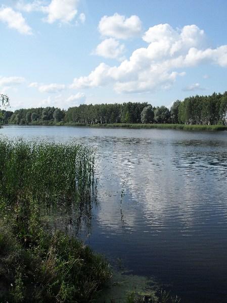 село - Довжик