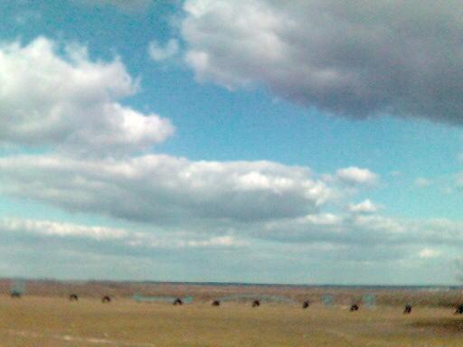 Кавуни - Кавуни