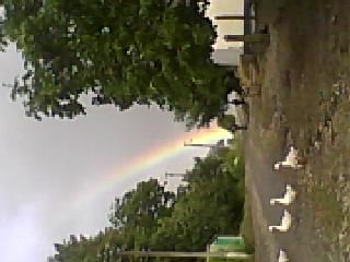 Грелівка - Грелівка