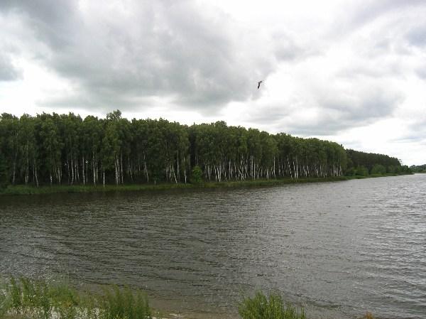 село - Довжик