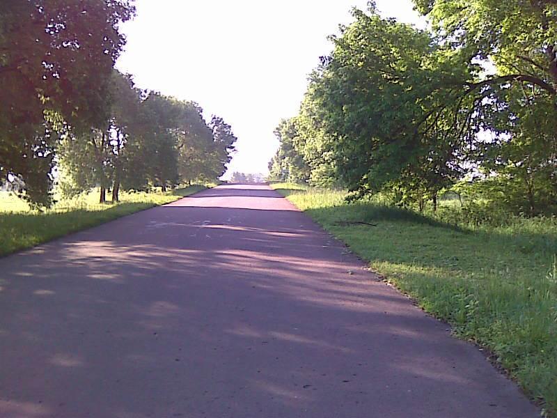 Краєвиди Пашеви - Пашева