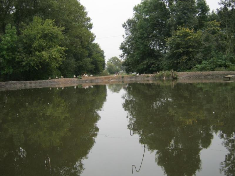 Ставок - Журавное