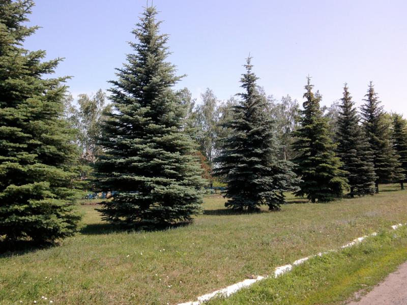 село - Шипувате