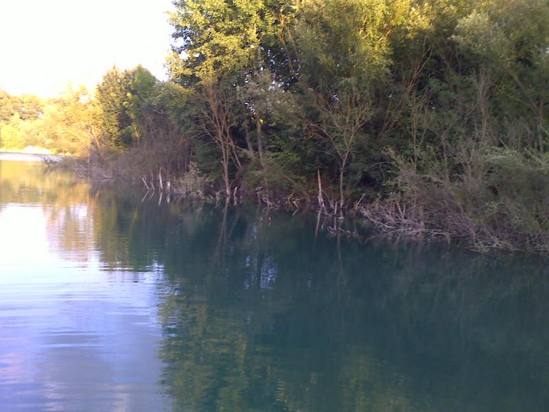 Native - Грицев