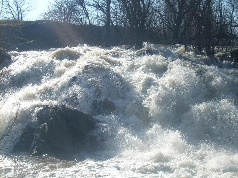 природа - Попельнастое