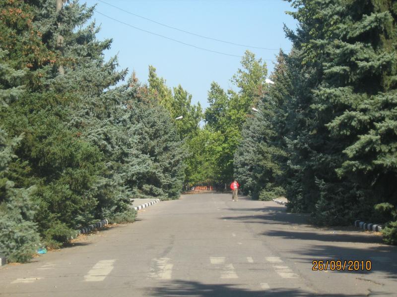 чаплинка - Чаплинка