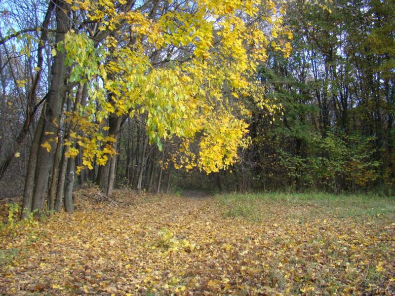 Наше село - Giltsi