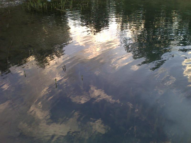 Native - Грицев