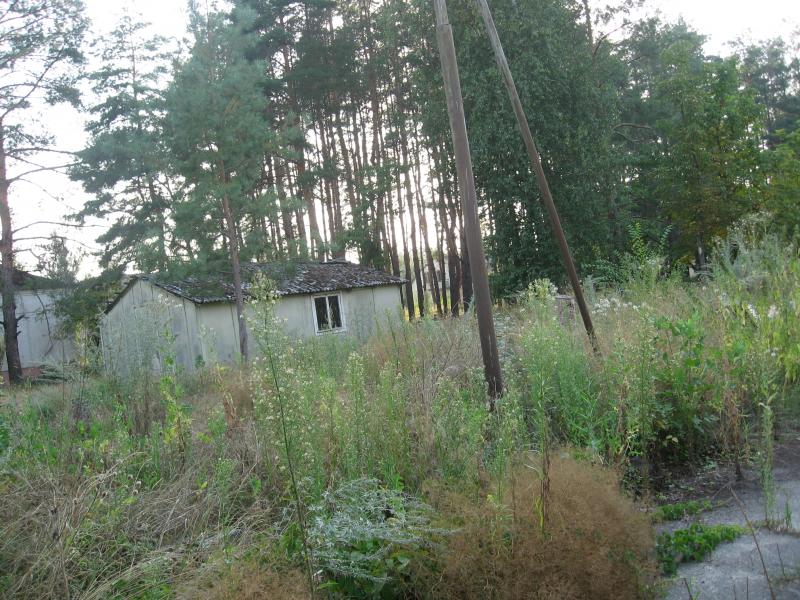 Любимые просторы - Штормове