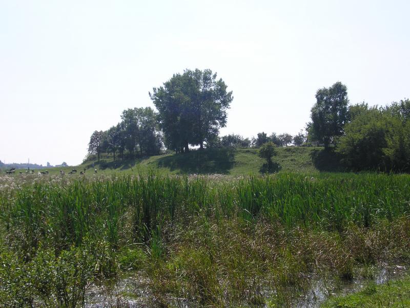 'Бережіть ліс- він Вам ще пригодиться' - Мнишин
