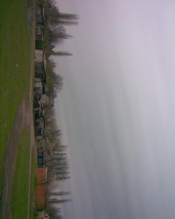 Кавуни - Кавуни