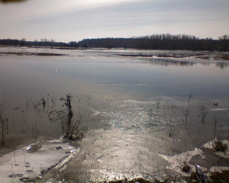Річка Оріль - Лівенське