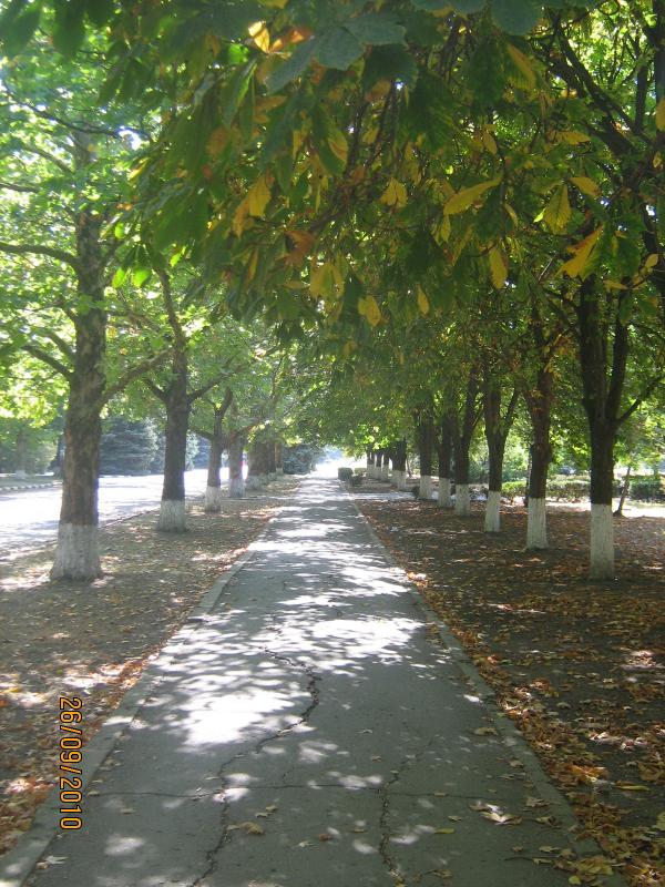 чаплинка - Чаплинка