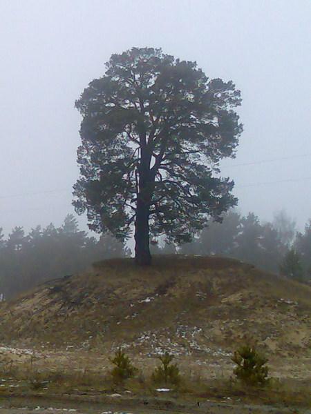 Морочненські краєвиди - Морочне