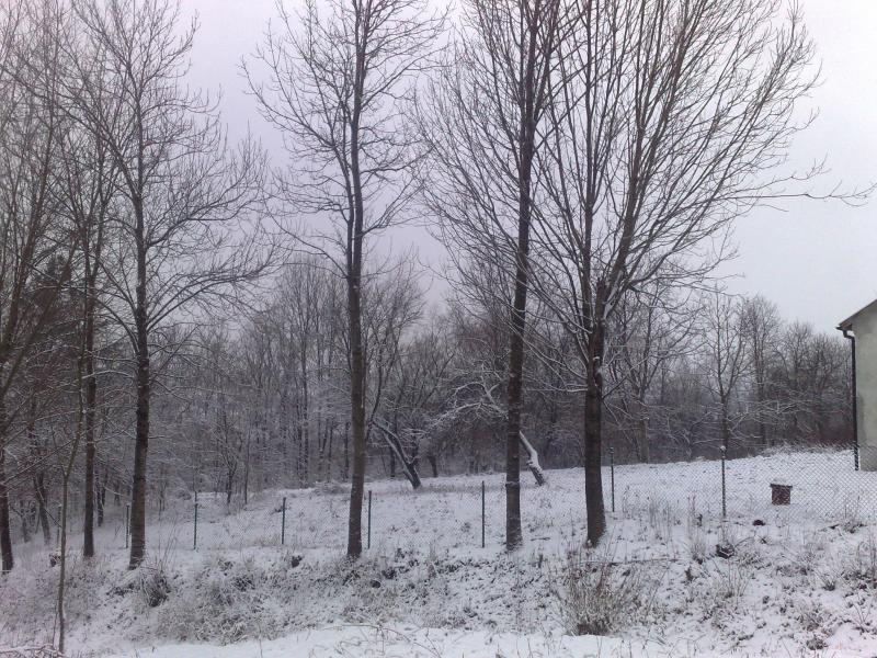 Наше рідне село - Боршевичі