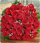 краєвиди - Паївка