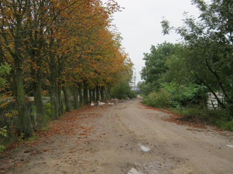 Вулиці - Журавное