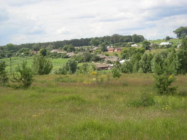 село - Довжик