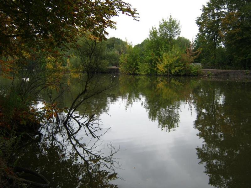 Ставок - Журавное