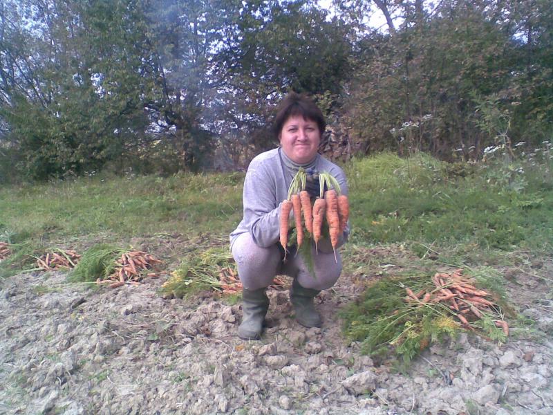 Сільське життя - Ступниця