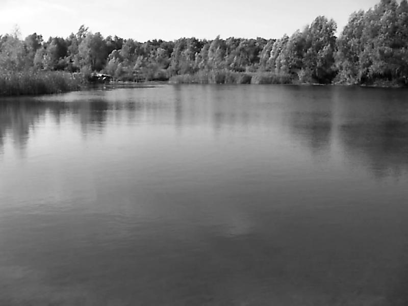 Лікареве - Лекарево
