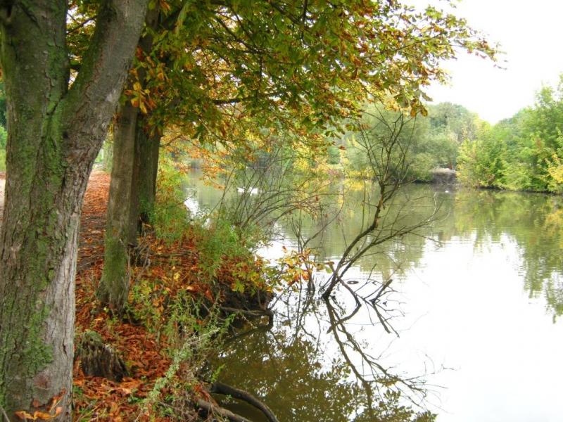 Ставок - Журавное