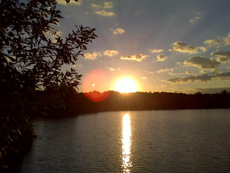 Native - Грицев