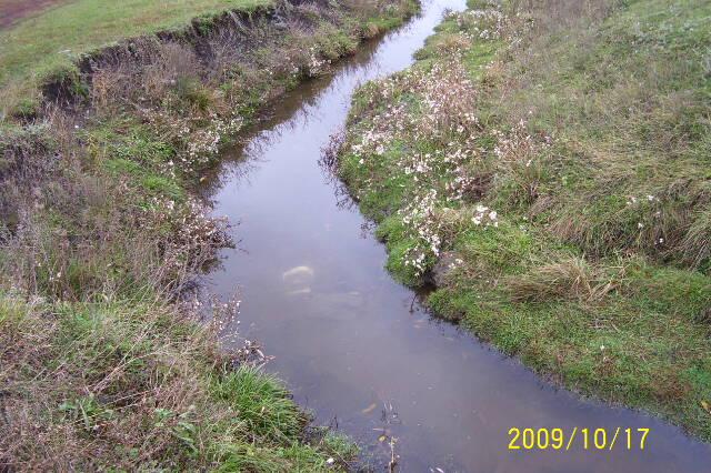 Кавуни - Кавуни