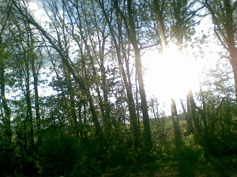 село - Шипувате