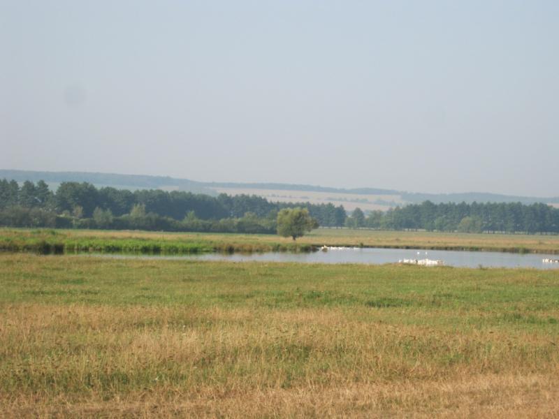 Карєр - Журавное