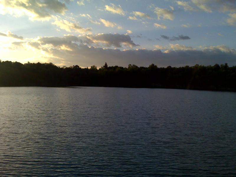 Native - Грицев