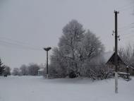 Наша местность