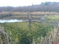 Боратичі - Останні фото