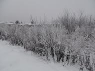 Наша местность