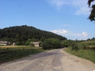 Родное село