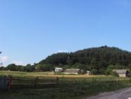 Родное село