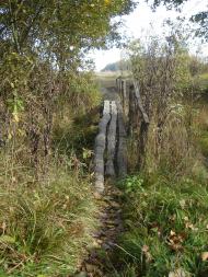 Дорога додому