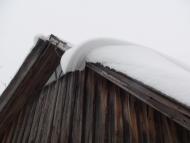 Наша местность