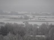 Наша местность